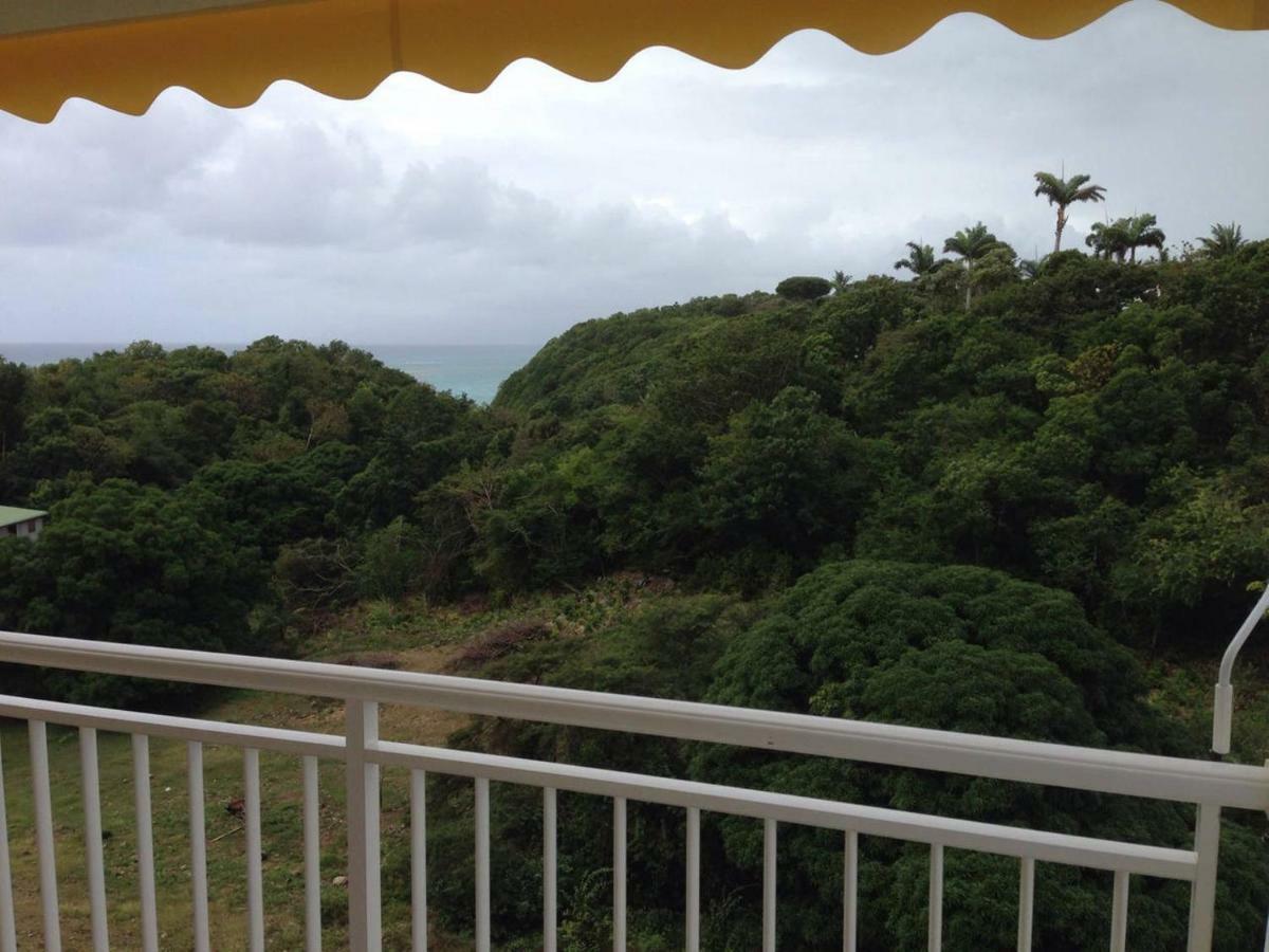 Villa Tournesol D Or เลอโกซิเยร์ ภายนอก รูปภาพ